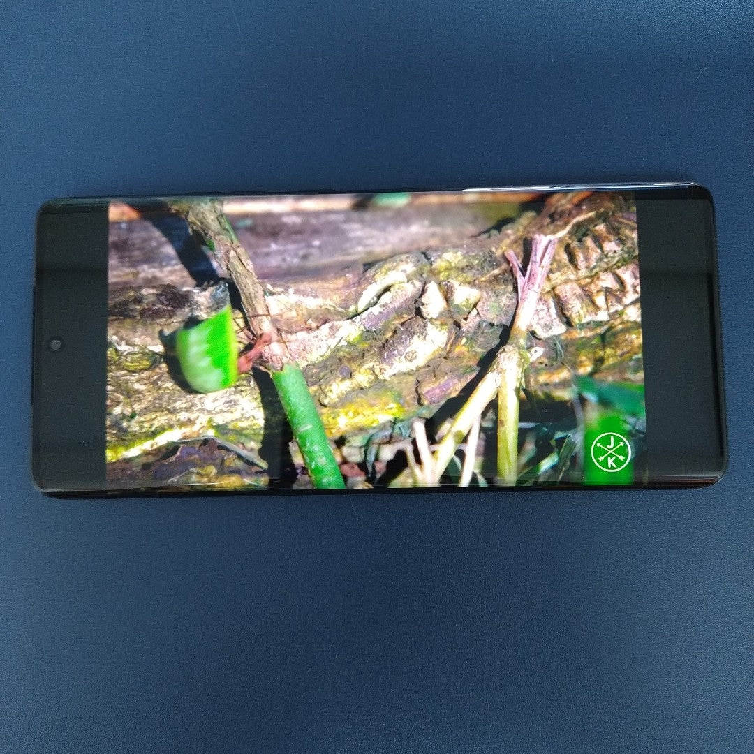 CELULAR MOTOROLA EDGE 50 PRO XT2403-2 (2024) 512 GB 12 GB RAM (SEMINUEVO)