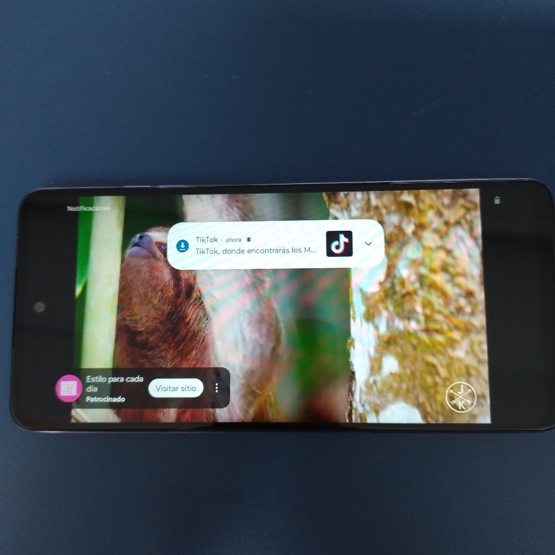 CELULAR MOTOROLA MOTO G24 XT2423-1 (2024) 256 GB 4 GB RAM (SEMINUEVO)