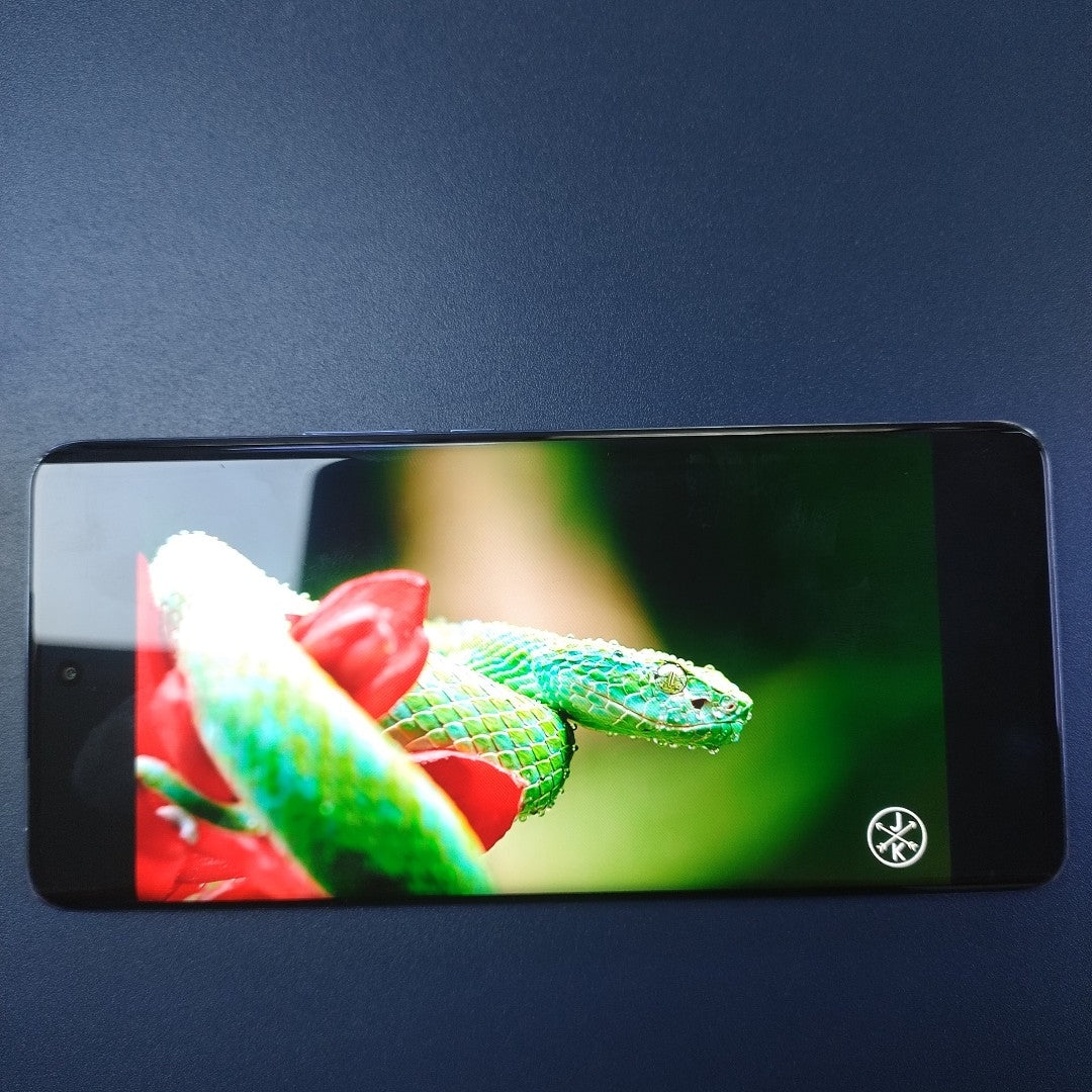 CELULAR HONOR X9B 5G ALI-NX3P 512 GB 8 GB RAM (SEMINUEVO)