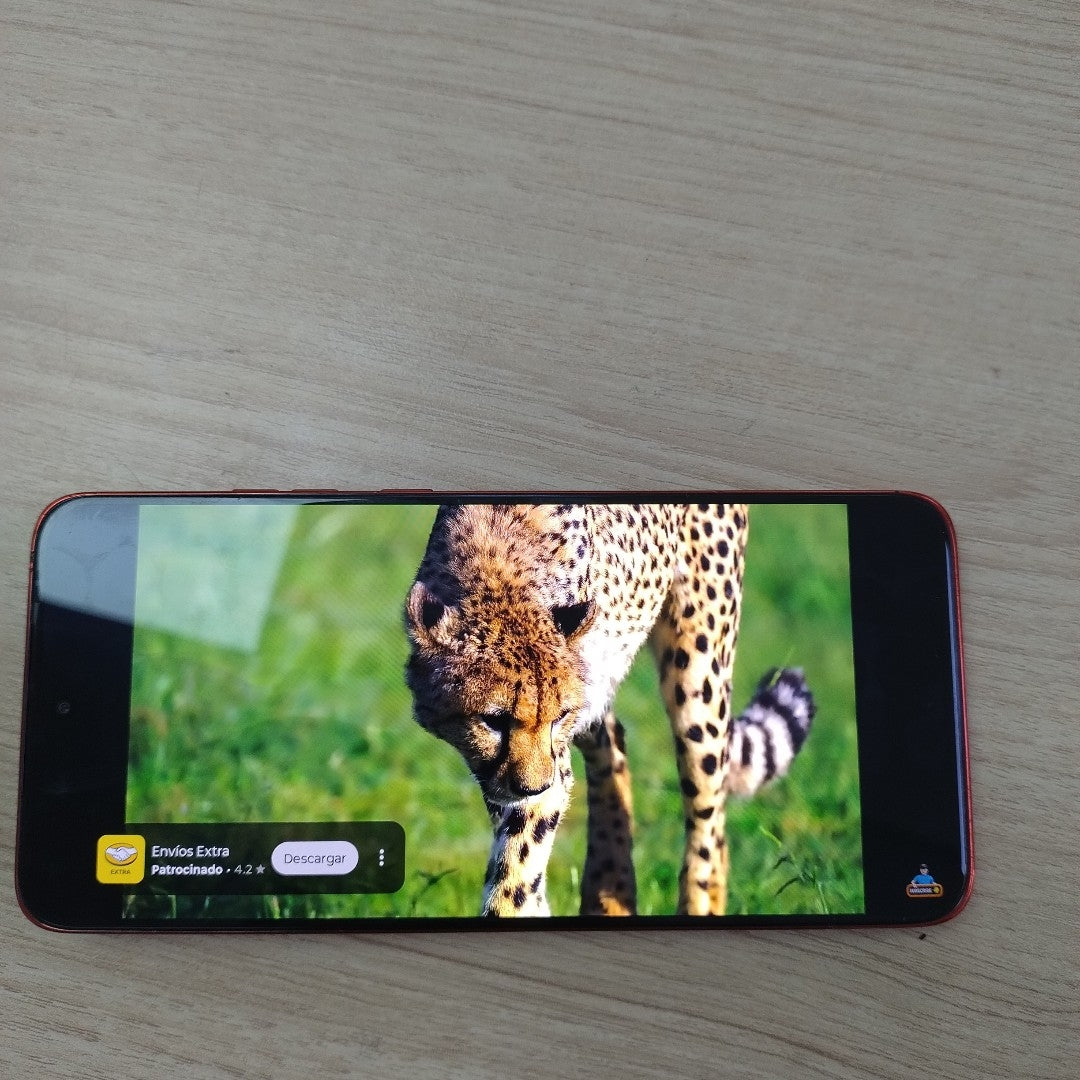CELULAR MOTOROLA EDGE 50 NEO XT2409-2 (2024) 256 GB 8 GB RAM (SEMINUEVO)