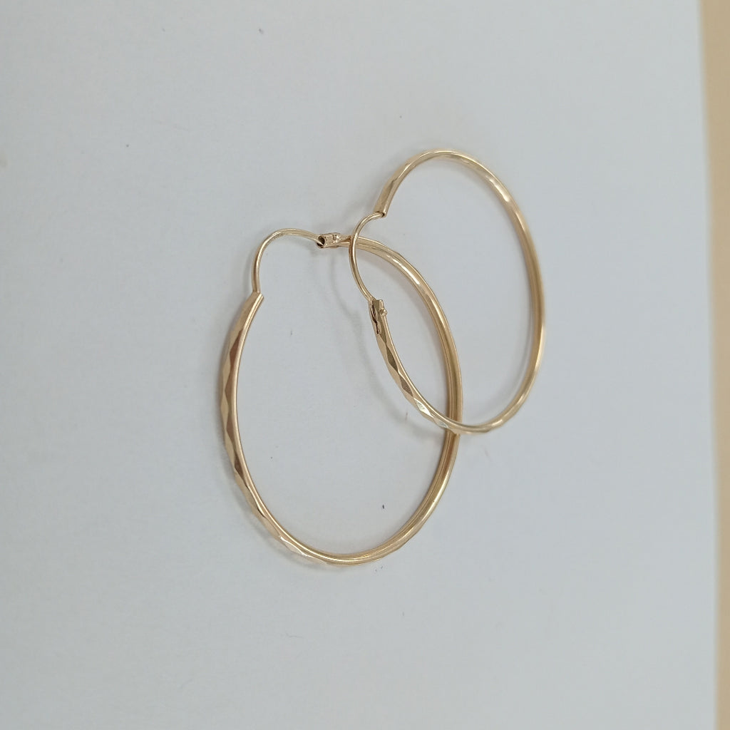 ARETES PAR ORO 10 K 2.4 GRMS (SEMINUEVO)