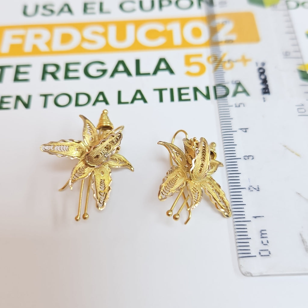 ARETES PAR ORO 10 K 6.2 GRMS (SEMINUEVO)