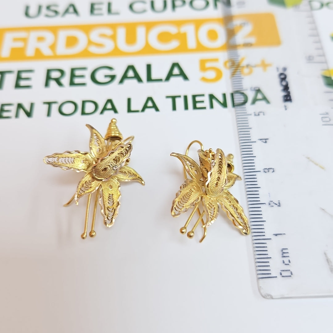 ARETES PAR ORO 10 K 6.2 GRMS (SEMINUEVO)