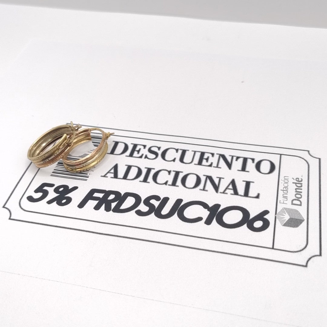 ARRACADAS PAR ORO 10 K 2,90 GRMS (SEMINUEVO)