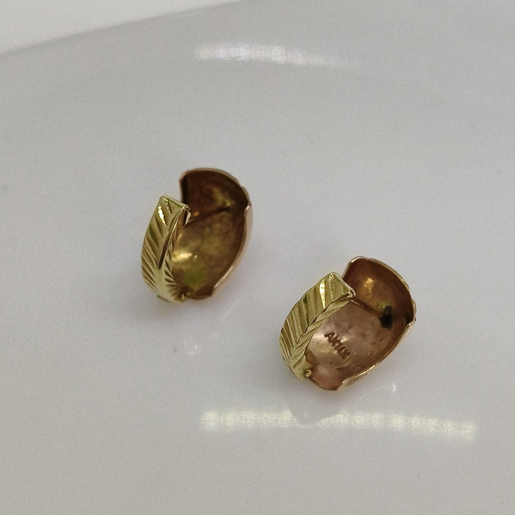 ARETES PAR ORO 10 K 2,90 GRMS (SEMINUEVO)