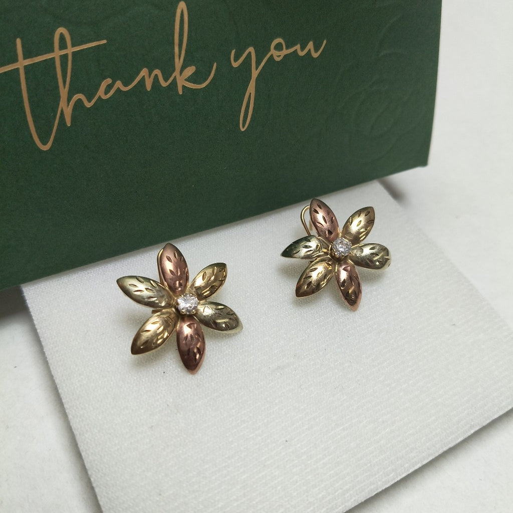 ARETES PAR ORO 10 K 4 GRMS (SEMINUEVO)