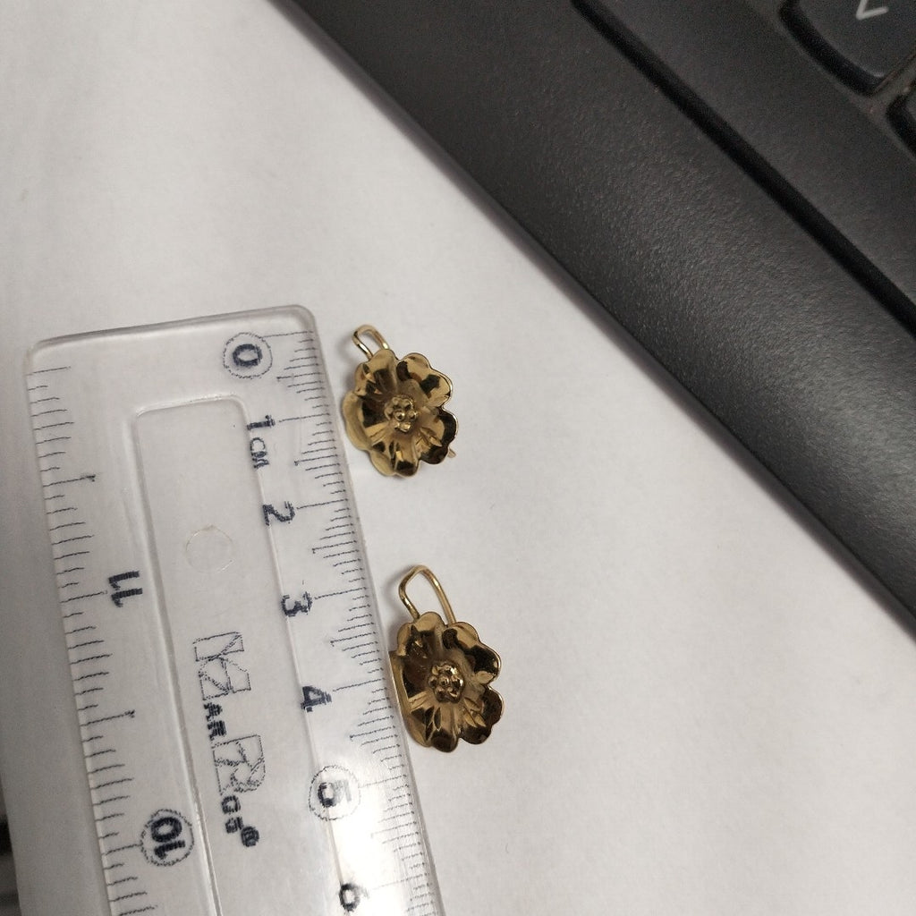 ARETES PAR ORO 10 K 1.8 GRMS (SEMINUEVO)