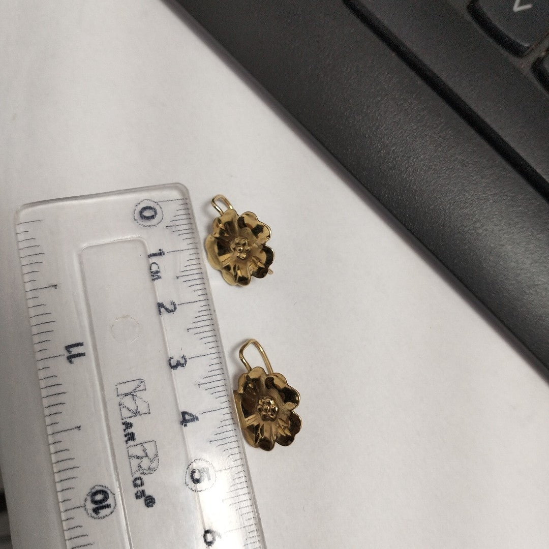 ARETES PAR ORO 10 K 1.8 GRMS (SEMINUEVO)