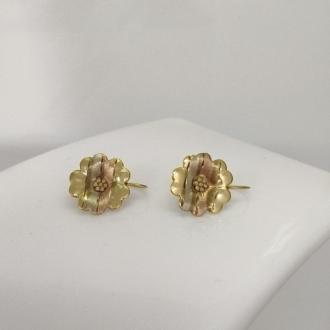 ARETES PAR ORO 10 K 1,20 GRMS (SEMINUEVO)