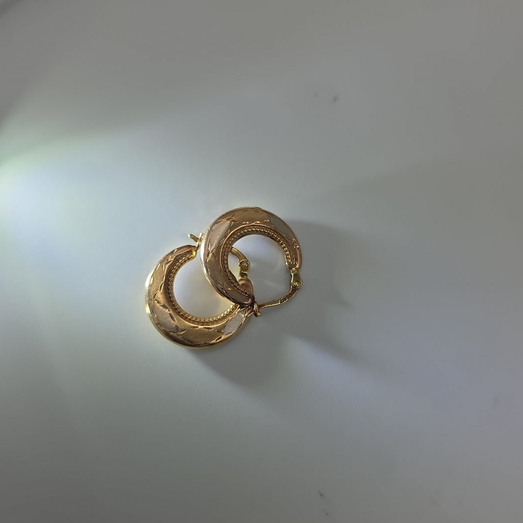 ARRACADAS PAR ORO, ORO COMBINADO 10 K 1.6 GRMS (SEMINUEVO)