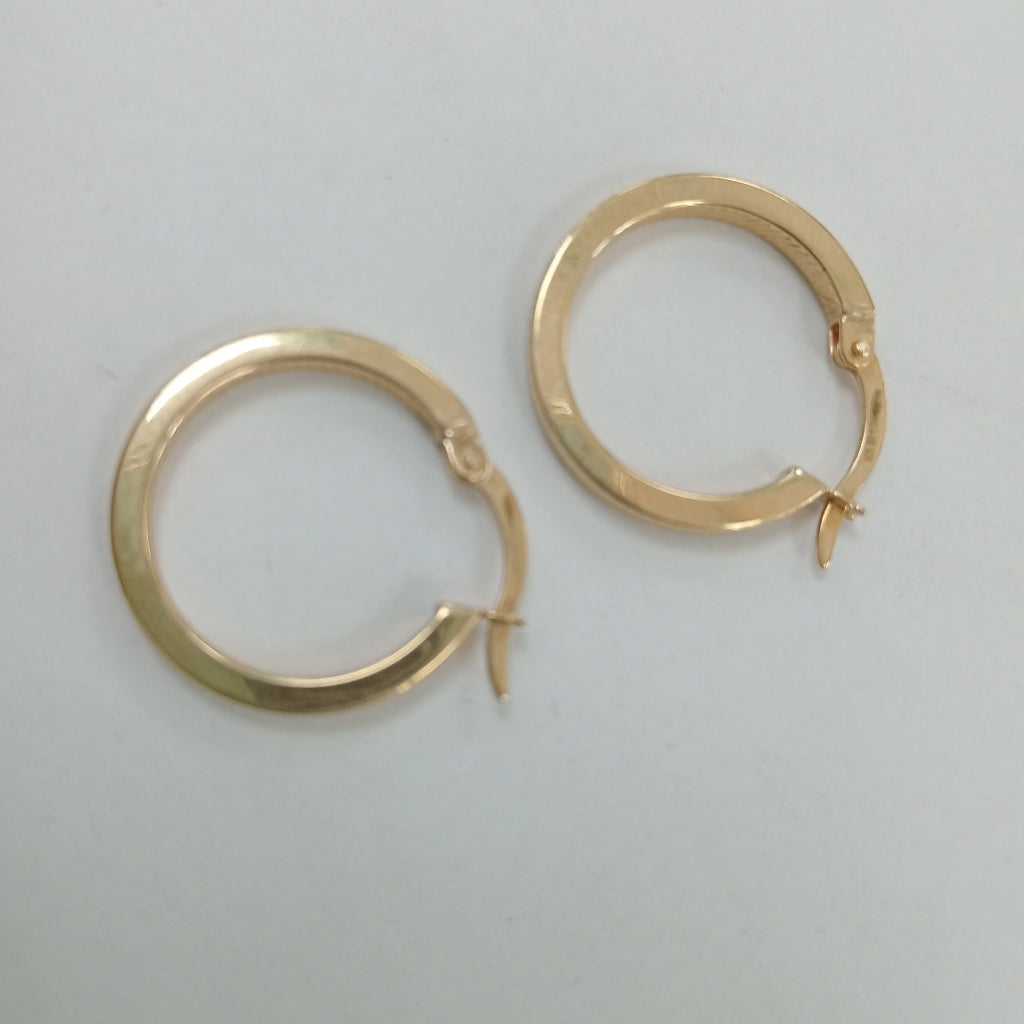 ARRACADAS PAR ORO 10 K 1.2 GRMS (SEMINUEVO)
