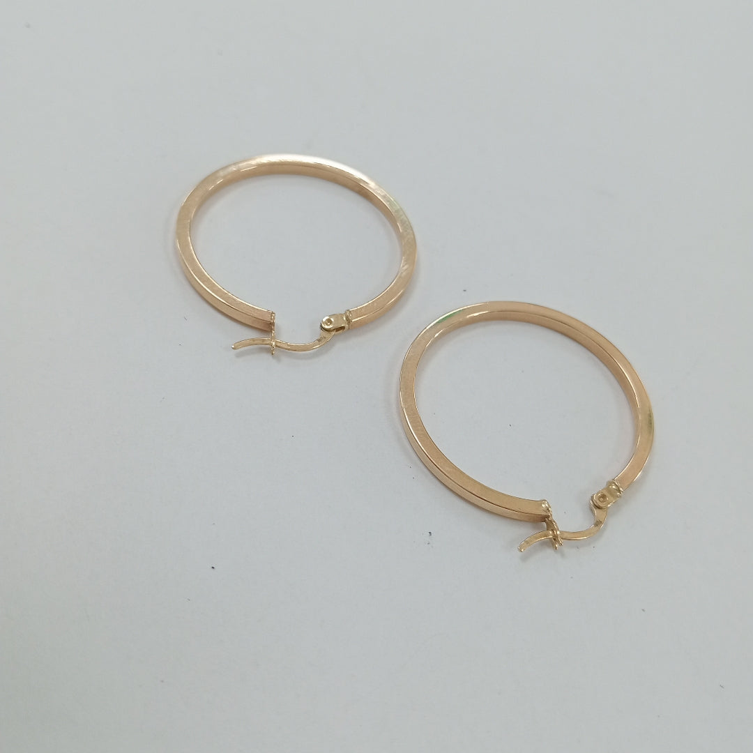ARRACADAS PAR ORO 10 K 2.3 GRMS (SEMINUEVO)