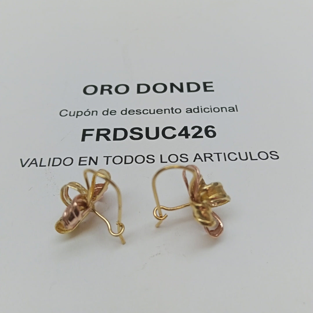 ARETES PAR ORO 10 K 2,90 GRMS (SEMINUEVO)