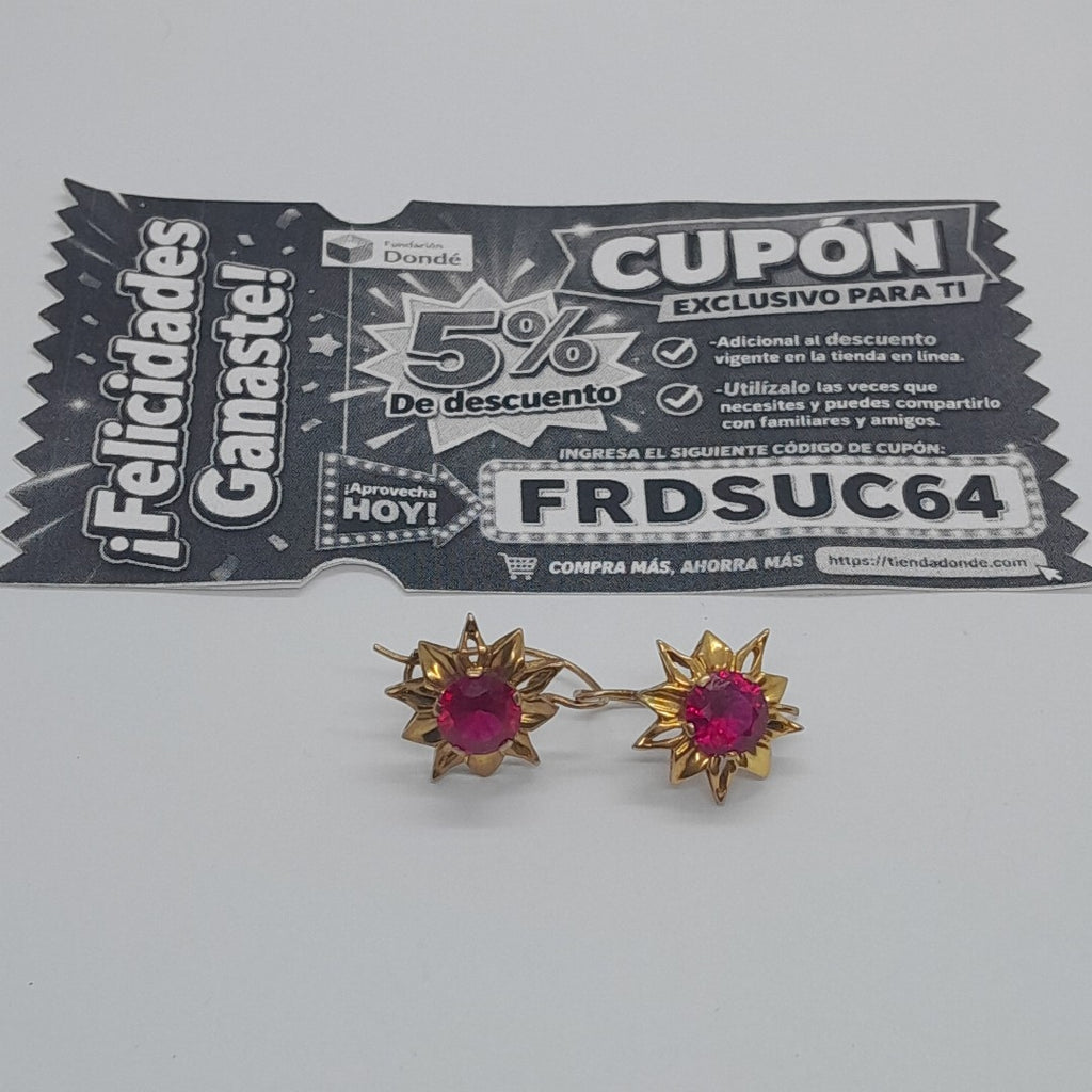 ARETES PAR ORO 10 K 3.6 GRMS (SEMINUEVO)