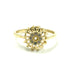  Anillo Oro amarillo 14K